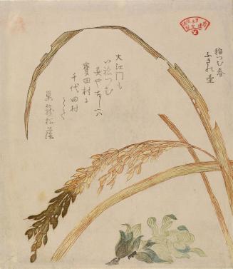 Inetsumuharu and Fukinodai, from the series Plants for the Kasumi Circle