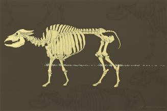 Buffalo (Gold Series), from the series Altamira: Moving Sculptures