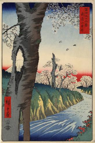 Cherry Blossoms at Koganei in Musashi Province, no. 12 from the series Thirty-six Views of Mt. Fuji