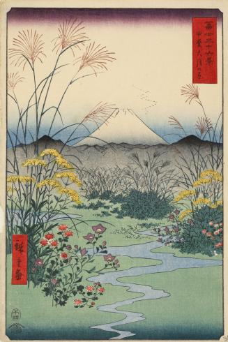 Autumn Flowers on the Otsuki Plain in Kai Province, no. 31 from the series Thirty-six Views of Mt. Fuji