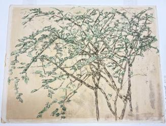 Branch with Leaves; Study of the Bushes on Rue General Appert