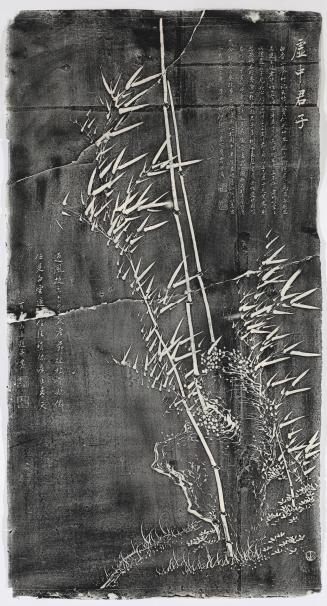 Bamboo