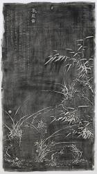 Gu Xuan