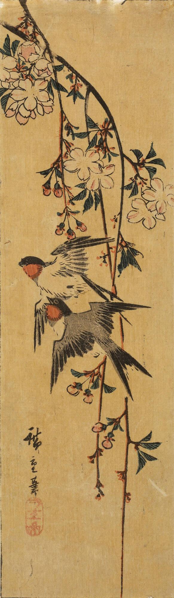 Swallows and Cherry Blossoms