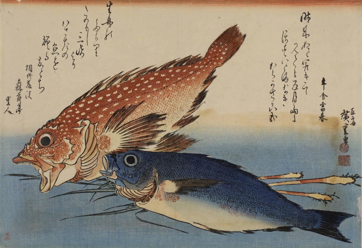 Scorpion Fish (Kasago), Isaki, and Ginger Stalks, from an untitled series of ten pictures of fish