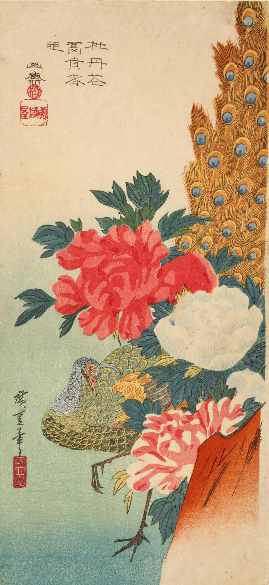 Peacock and Peonies