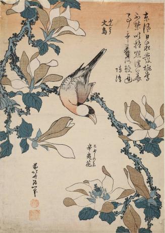 Paddy Bird and Magnolia, from an untitled series of ten chuban prints of birds and flowers