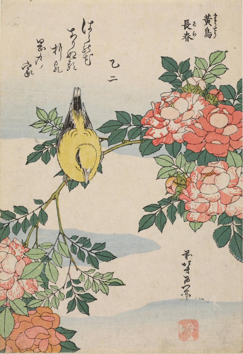 Canary and Rose, from an untitled series of ten chuban prints of 