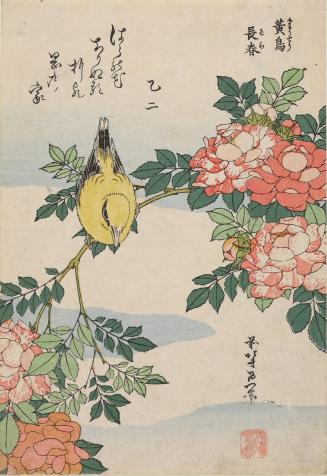 Canary and Rose, from an untitled series of ten chuban prints of birds and flowers