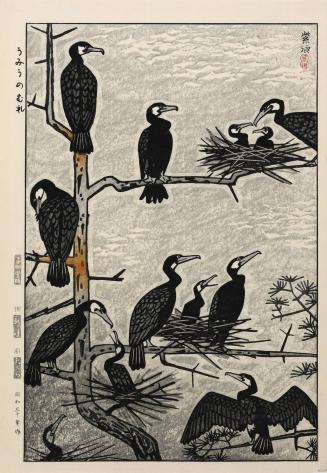 Cormorants