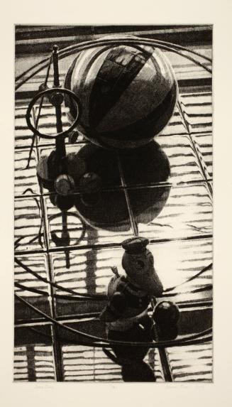 Dark Duck, from the Corcoran 2005 Print Portfolio: Drawn to Representation