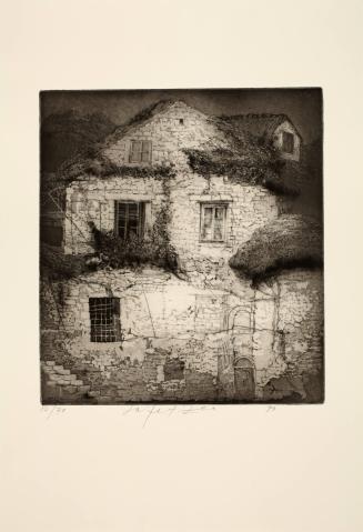 House of Stone, from the Corcoran 2005 Print Portfolio: Drawn to Representation