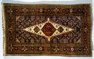 Carpet with Long Central Medallion