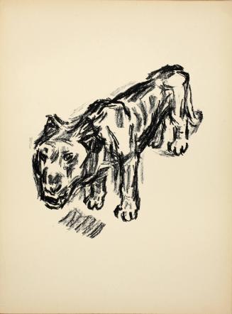 Löwe (Lion), plate 27 from Deutsche Graphiker der Gegenwart (German Printmakers of Our Time)