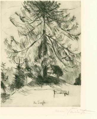 The Larch Tree, from the series Am Walchensee