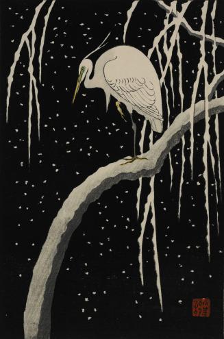 Egret in Snow