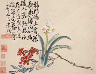 Narcissus and Berries, from the album Flowers