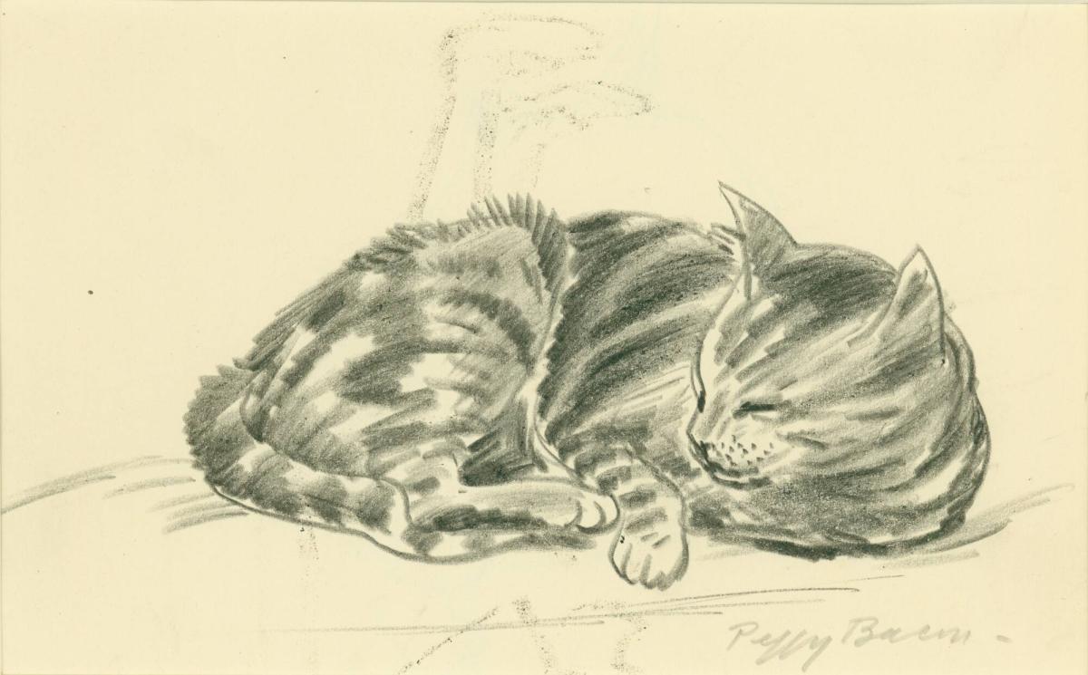 Sleeping Cat