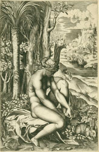Venus Wounded by a Rose Thorn