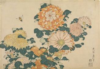 Chrysanthemums and Bees, from an untitled series of ten large prints of flowers