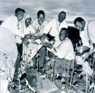 Howlin' Wolf with Band Members, from the portfolio The Memphis Blues Again