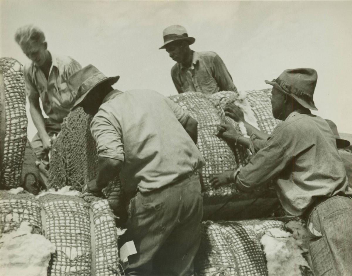 Untitled (Negro Men Loading Cotton)