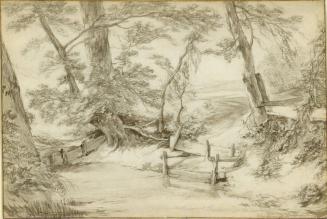 Landscape with Trees and a Pond