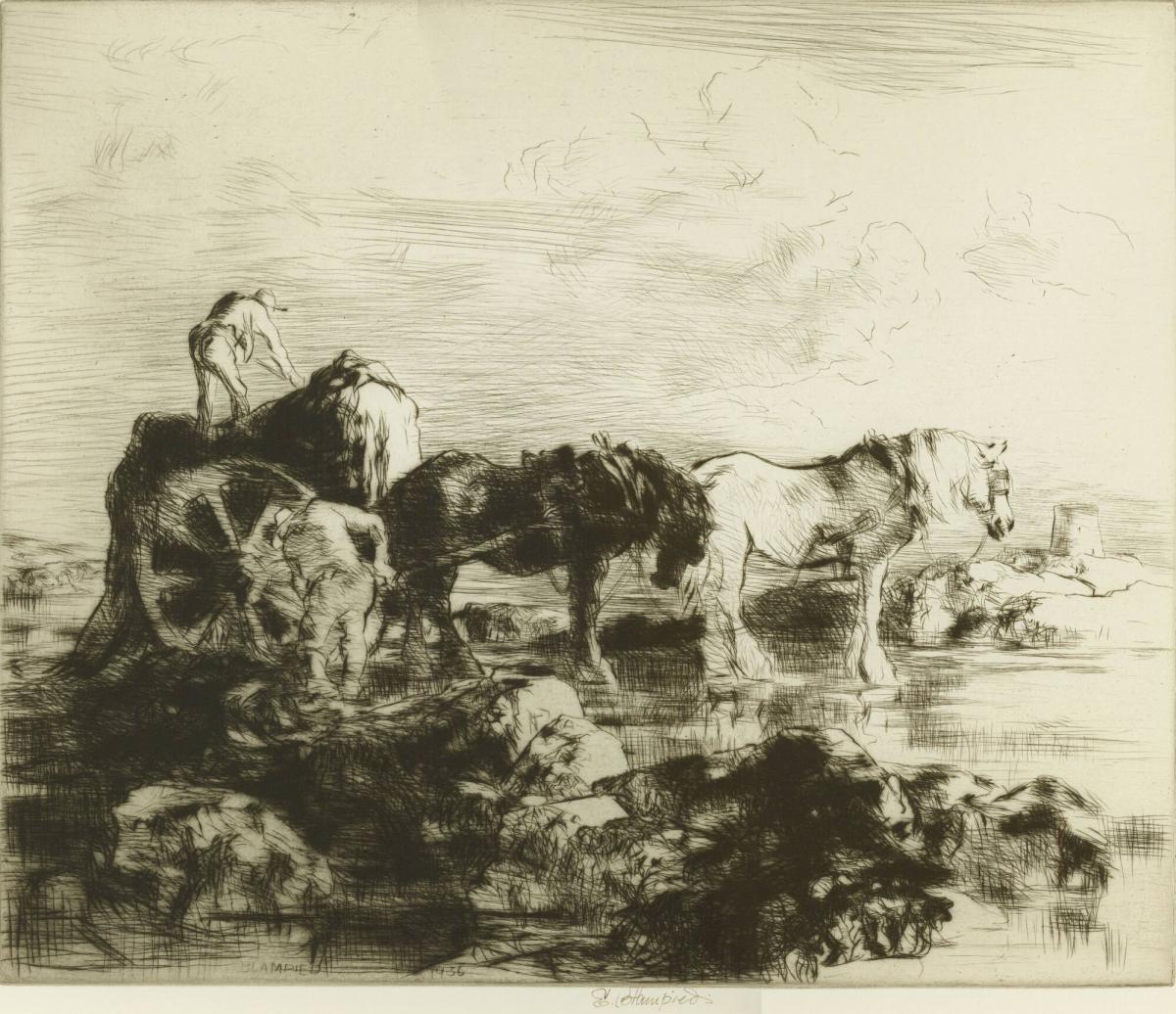 Seaweed Harvest, Jersey