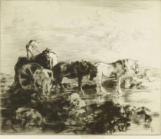 Seaweed Harvest, Jersey