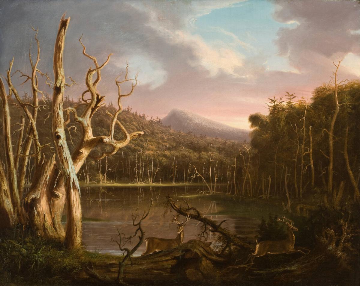 Paintings of the Late Thomas Cole